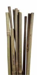 HOME It® bambuspinne Ø10 mm 120 cm 4 stk.
