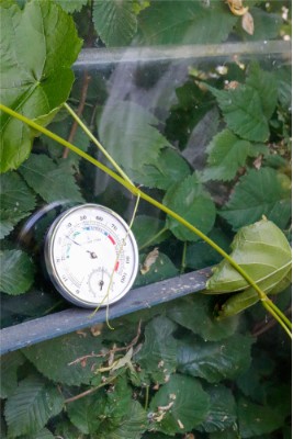 HOME it® hygrometer 85 x 23 cm