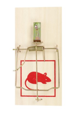 HOME It® smekkfelle til rotter med kraftig fjær