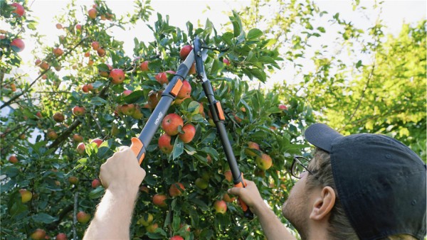 HOME It Garden® grensaks med buet sideskjær og utveksling